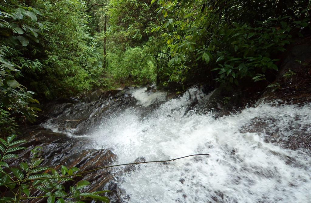 Marg Stream Valley Vythiri Extérieur photo