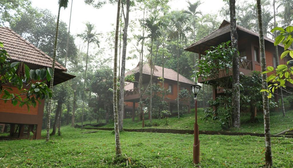 Marg Stream Valley Vythiri Extérieur photo