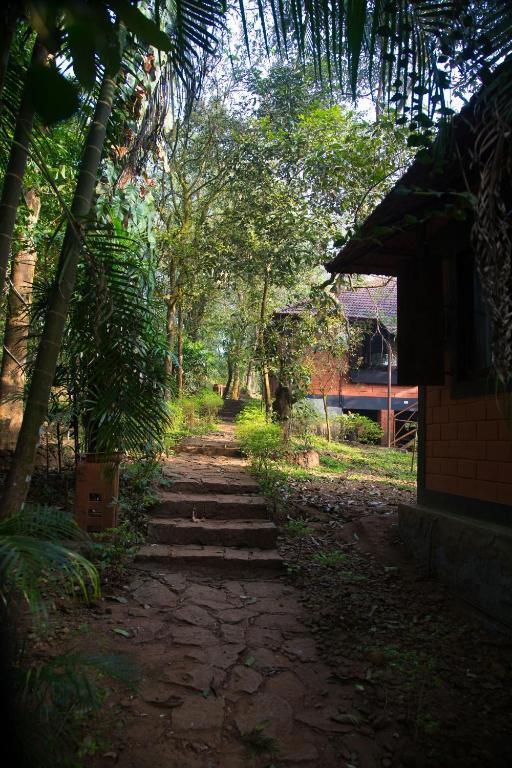 Marg Stream Valley Vythiri Extérieur photo